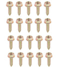 20 Piece Rallye Wheel Cap Screw Set For 1962-1972 Plymouth Scamp and Valiant