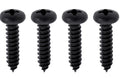 Park Lamp Lens Mounting Screw Set For 1970-1974 GTX Road Runner and Satellite